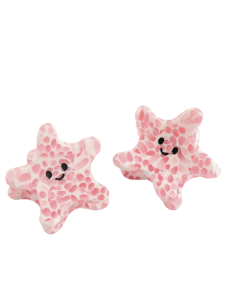 HH0355 Starfish Hair Claw Clips Twin Pack