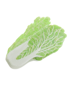 HH0737 Chinese Leaf Hair Claw Clip