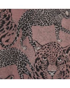 20075 Leopards