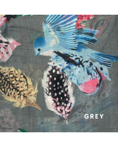 BIRDS N FEATHERS