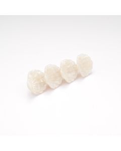 HC1510 Shells Hair Clip Cream